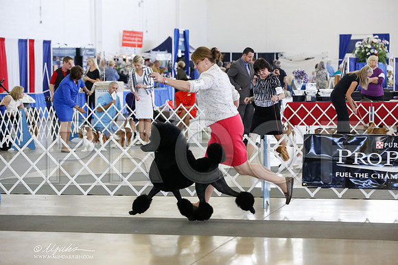 _JJ_7196-DallasJul2014-HR3