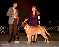 Mastiff #7 Fri BOS William Senie Judge Jon Cole