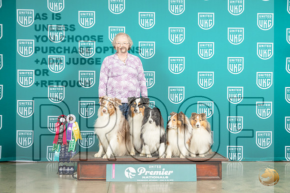 Shelties FunMJP_5829_Premier2023_HR3