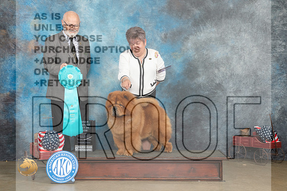 Chow #7 Thur OHBIS Judge Gary Andersen_MJ_5745_ARK2023_HR3