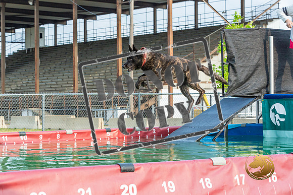 Dock Diving Fri_JJL_0718-Premier2023