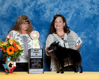 #18 S1 Best Puppy Sweeps Barbara Murray & Donna Kenly Judge Sherry K Gill