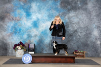 Miniature American Shepherd #8 Sat RWB Judge Del Richards