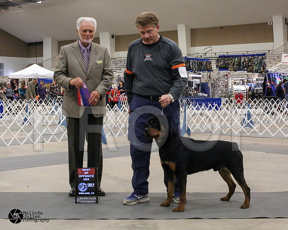 Rott-7396-MIdFeb14-HR