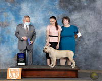 Bonnie Grubb UDOG Longview TX Jan 31 - Feb 2 2025