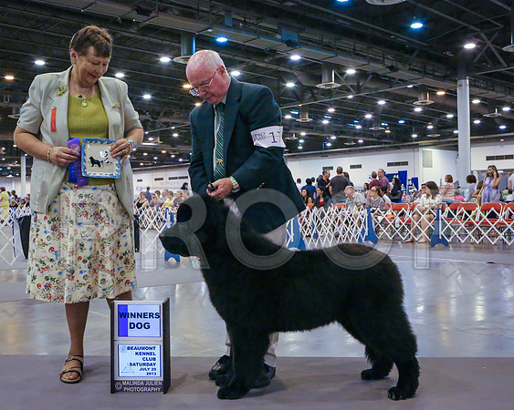 Newf-2015-HstnJ13HR