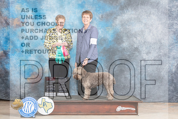 Logatto #8 Sat BOSOHG3 Judge Edweena (Teddy) McDowellMJP_1043_Abilene_2023_HR3