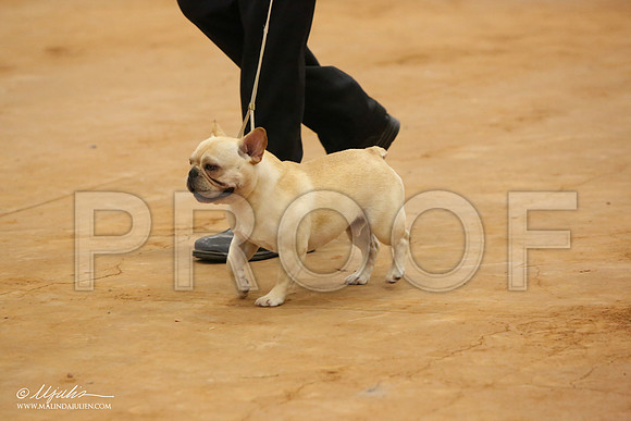 Fren-8199-Tex2013 HR3