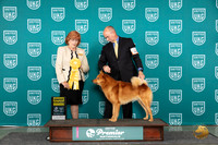 Finnish Spitz #312 Sun G4 Judge Sharon Griffin