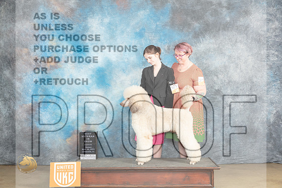 Poodle Std MC #367 Fri VBIS Judge Tracey KalasMJP_2128_UKCLNVWMAY2023_HR3