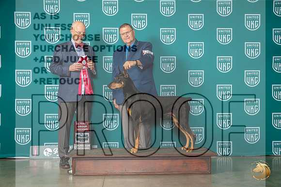 Doberman Pinscher Sat #623 AG2 Judge Ron HornMJP_5227_Premier2023_HR3