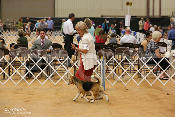 Beag-3047-Tex2013 HR3