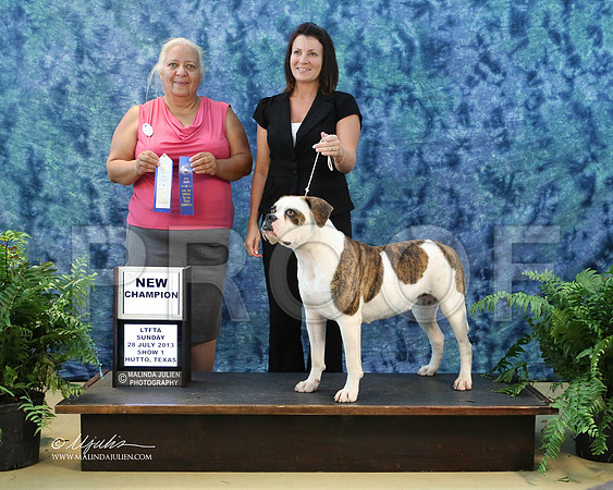 AmBull-9591-HuttoJul13