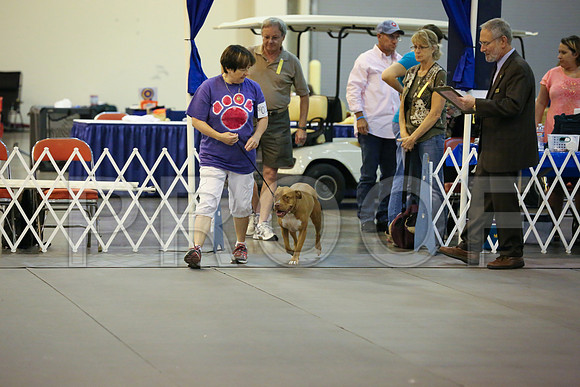 AmStaff-9674-HR300