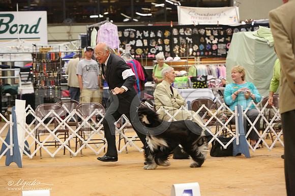 HoundGrpSn-0285-Tex2013 HR3