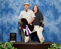 Poodle Multi Color #124 Sun NC BOB Jeanette Litton
