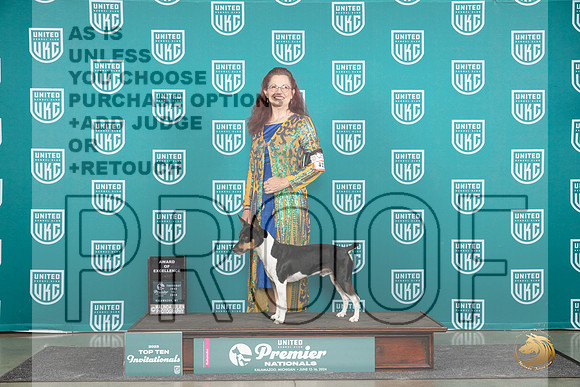 Rat Terrier #415 Thur T10AOE Judge Tracie Karsjens__JP_0801_Premier_2024_HR3
