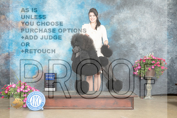 Poodle Std #17 Sun G1 Judge Pat Trotter_MJ_7524_ARK2023_HR3