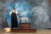 American Hairless Terrier #359 Adele