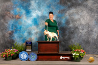French Bulldog #21 Thur WDBOW Judge Jan Paulk r