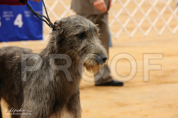 Irish-1323-Tex2013 HR3