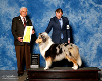 Collie Rough #10 Sat G3 Mosing Jennifer and Connie DuBois and Dr Cindi Bossar Agent Brian Livingston Judge Charles Trotter