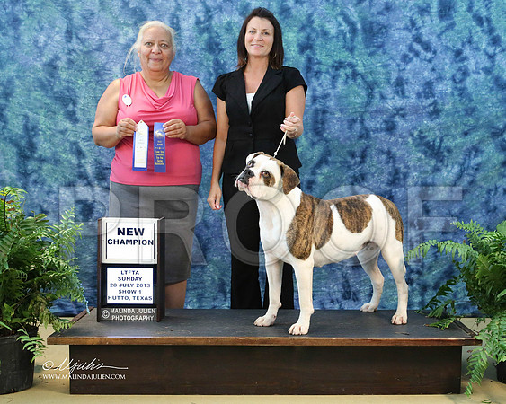 AmBull-9576-HuttoJul13