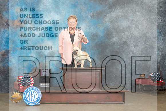 French Bulldog #22 Fri BOSWB Judge Jacqueline L Stacy _MJ_5898_ARK2023_HR3