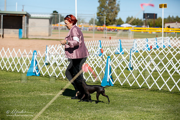 _JJ_6901-AlamogordoOct2014-HR3