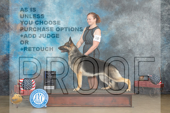 German Shepherd Dog #22 Thurs WBMCH Judge Edweena (Teddy) McDowell_MJ_5526_ARK2023_HR3