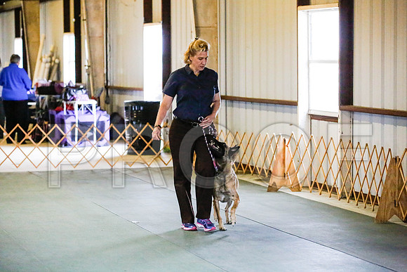 _CA_0613-DFWLabNov2015-©JulienLambertphoto.com-HR3