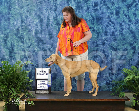 Lab-9867-HuttoJul13