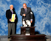 Japanese Chin #5 Fri G3 Fleming Blater Sheila and Dr Anthony Hewitt Agent Victor Cohen Judge Charles Trotter