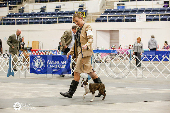 _JJ_7196-AblnMay2014-web