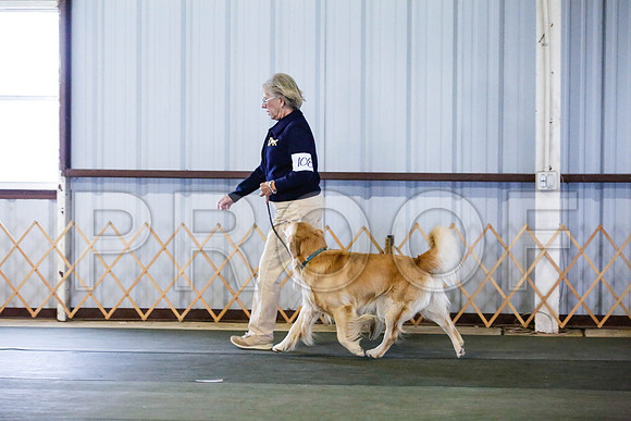 _CA_0548-DFWLabNov2015-©JulienLambertphoto.com-HR3
