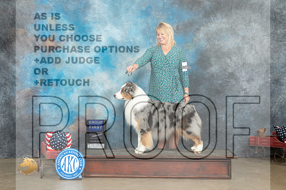 Australian Shepherd #29 Fri G1 Judge Pat Trotter_MJ_6168_ARK2023_HR3