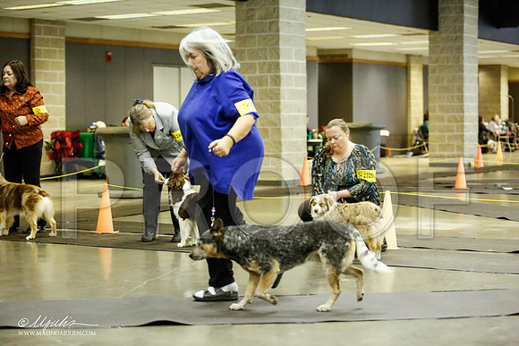 _JJ_7041-BeltonJan2015IABCA-HR3