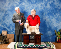 Lhasa Apso #14 Sun BOW +A2