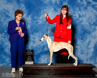 Whippet #14 Sun NGC Granville Nickie and Rachel Granville Judge Patricia Trotter