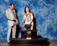 Yorkshire Terrier #8 Fri BOB Barnett Yotkielicious Yorkis Judge Ricardo Forastieri Gonzalez