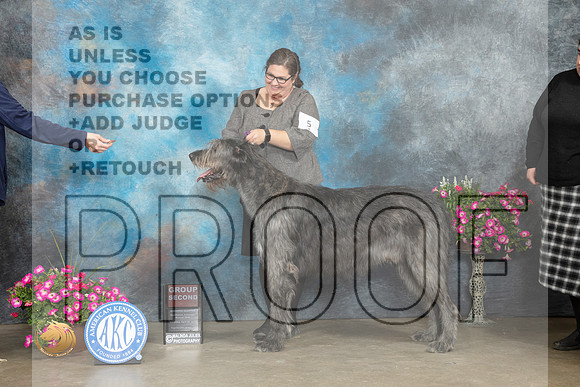 Irish Wolfhound #8 Sat G2 Judge Linn Klingel Brown_MJ_6812_ARK2023_HR3