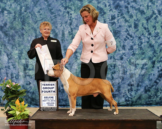 AmStaff-3272-AbiMay13HR