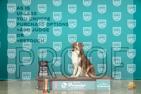 Australian Shepherd #416 Thur RMaster 4thMJP_4074_Premier2023_HR3
