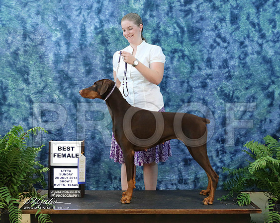 Dobe-9851-HuttoJul13