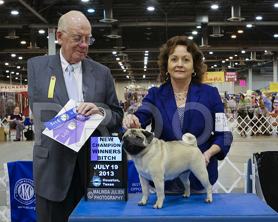 Pug-0753-HstnJ13HR