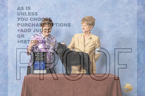 #42 BOSVet Sweeps Judge Marcia Galliga-_CL_8907_Schip_2022-HR3