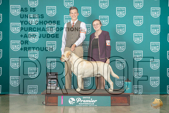Labrador Retriever #1244 Sun BeJr Judge Tricia TillMJP_6465_Premier2023_HR3