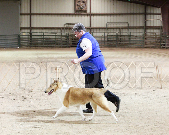 BPup-6619