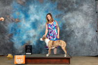 Catahoula Leopard Dog #190 Sat CH Judge Malinda Julien