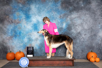 Borzoi #18 Fri BOB Judge Ann Meyer